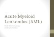 Acute Myeloid  Leukemias  (AML)