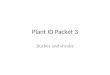 Plant ID Packet 3