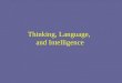 Thinking, Language,  and Intelligence