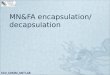 MN&FA encapsulation/ decapsulation