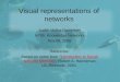 Visual representations of networks