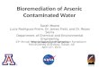 Bioremediation of Arsenic Contaminated Water