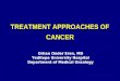 TREATMENT APPROACHES OF CANCER