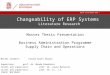 Changeability  of ERP Systems  Literature Research