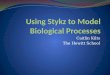 Using  Stykz  to Model Biological Processes