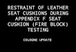 RESTRAINT OF LEATHER SEAT CUSHIONS DURING APPENDIX F SEAT CUSHION (FIRE BLOCK) TESTING