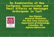 An Examination of New Turfgrass Insecticides and Their Effects on Nontarget Arthropods in Turf