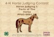 4-H Horse Judging Contest