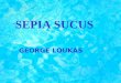 SEPIA SUCUS
