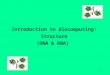 Introduction to Biocomputing: Structure (DNA & RNA)