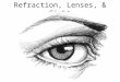 Refraction, Lenses, & Sight
