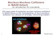 Nucleus-Nucleus Collisions  in NA49-future