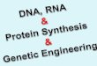 DNA, RNA & Protein Synthesis & Genetic Engineering