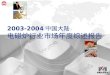 2003-2004 中国大陆 电磁炉行业市场年度综述报告