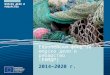 Европейски фонд за морско дело и рибарство (E ФМДР )