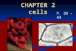 CHAPTER 2 cells