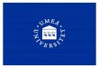 Umeå  University