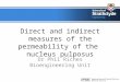 Direct and indirect measures of the permeability of the  nucleus pulposus