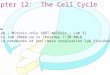 Chapter 12:  The Cell Cycle