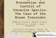 Integrating Prevention and Control of Invasive Species: The Case of the Brown Treesnake
