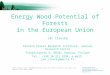 Energy Wood Potential of Forests in the European Union
