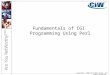 Fundamentals of CGI  Programming Using Perl