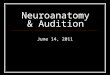 Neuroanatomy & Audition