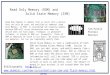 Read  Only Memory ( ROM) and                Solid State Memory (SSM)