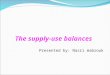 The supply-use balances  Presented by: Nasri mabrouk