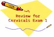 Review for Cervicals Exam 1