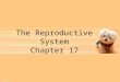 The Reproductive System Chapter 17