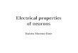 Electrical properties of neurons Rub é n Moreno-Bote