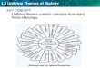 KEY CONCEPT Unifying themes connect concepts from many fields of biology