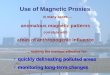 Use of Magnetic Proxies