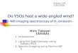 Do YSOs host a wide-angled wind? - NIR imaging spectroscopy of H 2  emission -