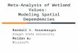 Meta-Analysis of Wetland  Values:  Modeling Spatial Dependencies