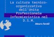 La cultura tecnico-organizzativa dell’Unita Professionale Infermieristica nel D.S.M