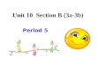 Unit 10  Section B (3a-3b)