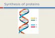Synthesis of proteins
