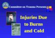 Injuries Due  to Burns  and Cold