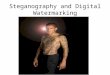Steganography and Digital Watermarking
