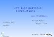 Jet-like particle correlations