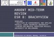ARDENT Mid-term review esr  8:  BrachyView