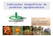 Indicações Geográficas de produtos agropecuários