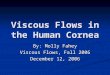 Viscous Flows in the Human Cornea