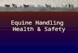 Equine Handling  Health & Safety