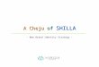 A Cheju of SHILLA - New Brand Identity Strategy -