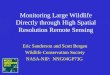 Monitoring Large Wildlife Directly through High Spatial Resolution Remote Sensing