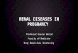 Renal Diseases In Pregnancy
