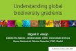Understanding global biodiversity gradients